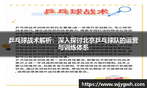 乒乓球战术解析：深入探讨北京乒乓球队的运营与训练体系
