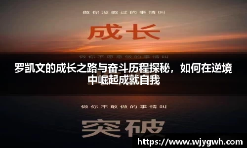 星空综合·(中国)官方网站