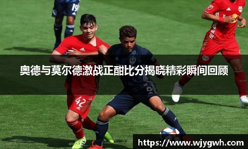 星空综合·(中国)官方网站
